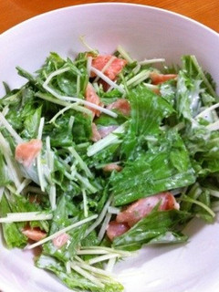水菜とスモークサーモンのサラダ♩-レシピのメイン写真