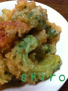 ゴーヤとイカのフリッター-レシピのメイン写真