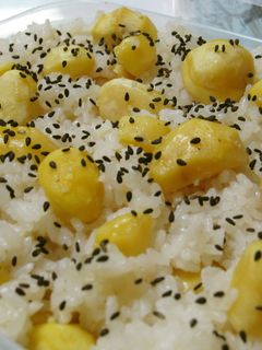 栗だらけの栗ごはん-レシピのメイン写真