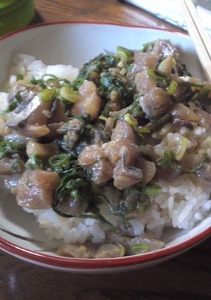 あじの薬味丼-レシピのメイン写真