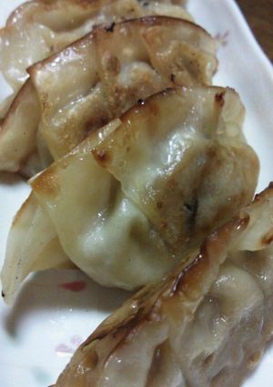 ☆食べてみて!ゴーヤ入り餃子☆-レシピのメイン写真