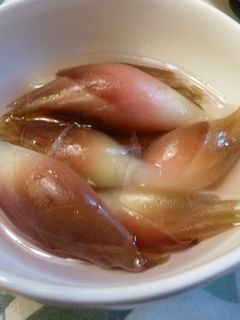茗荷の酢のもの-レシピのメイン写真