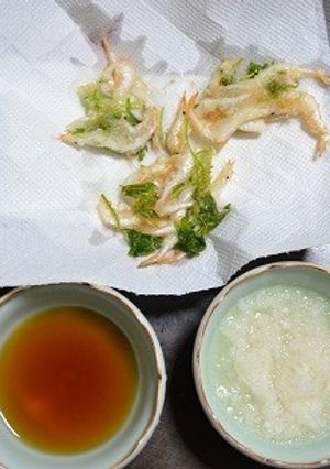 白エビのかき揚げ-レシピのメイン写真