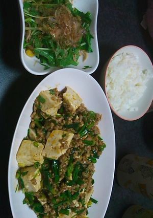 麻婆豆腐〜-レシピのメイン写真