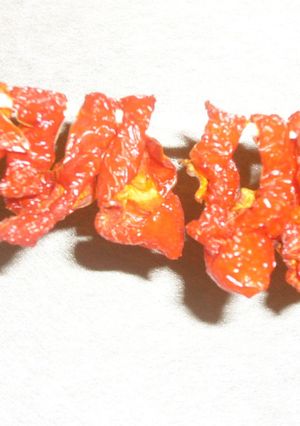 保存　ハバネロ-レシピのメイン写真