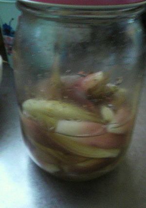 茗荷のすし酢漬け-レシピのメイン写真