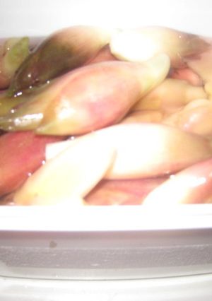 みょうが＋葉しょうがの簡単酢漬け-レシピのメイン写真