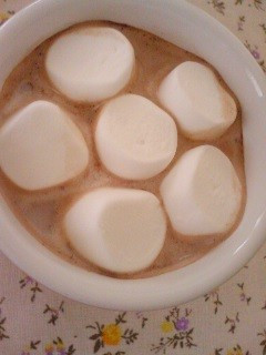 ホットアイスクリーム-レシピのメイン写真