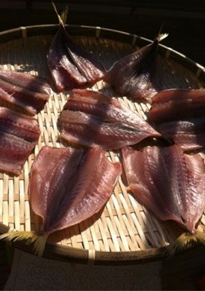 アジの干物-レシピのメイン写真