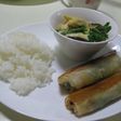 ささみと梅のヘルシー春巻き