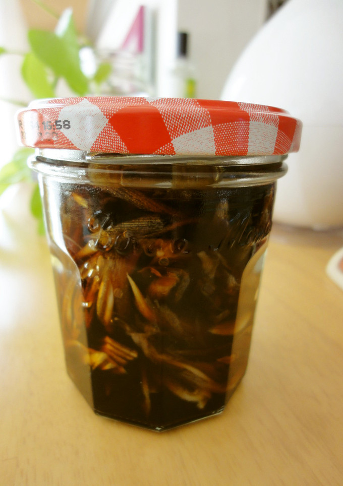 簡単☆みょうがの醤油漬け-レシピのメイン写真