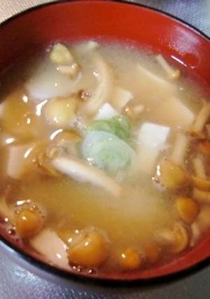 なめこと里芋とお豆腐の味噌汁♬-レシピのメイン写真