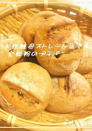 天然酵母ストレート法で★全粒粉のプチパン-レシピのメイン写真