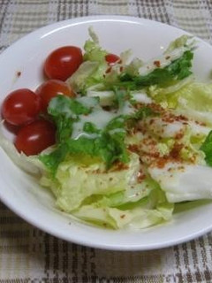手でちぎるだけ!白菜サラダ-レシピのメイン写真