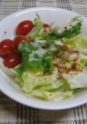 手でちぎるだけ！白菜サラダ-レシピのメイン写真