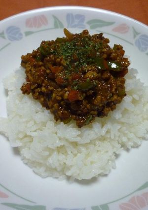 簡単！！日本の心　和風ドライカレー☆-レシピのメイン写真
