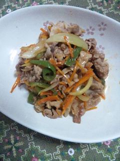 ガッツリ豚こま肉の炒め物-レシピのメイン写真