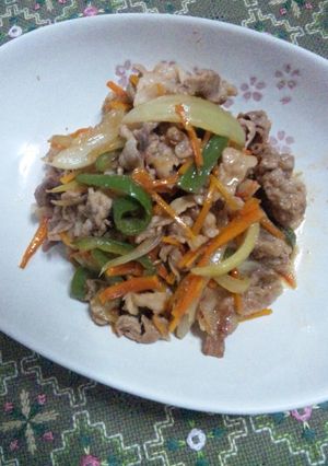 ガッツリ豚こま肉の炒め物-レシピのメイン写真