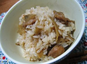 しっかり味でおいしい☆鶏ごぼうご飯-レシピのメイン写真