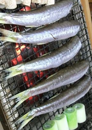 カマスの丸干し-レシピのメイン写真