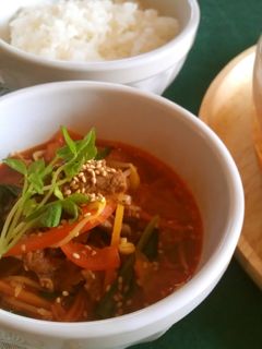 牛肉のスープ❀ユッケジャン-レシピのメイン写真