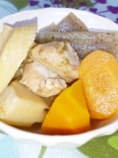 鶏肉☆根菜煮-レシピのメイン写真