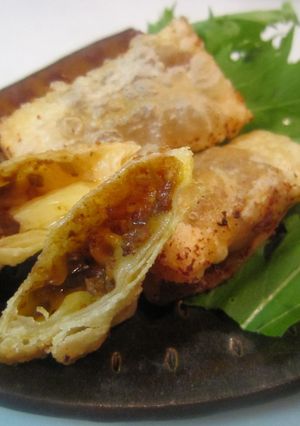 新生姜とカレーチーズ揚げ餃子巻き-レシピのメイン写真