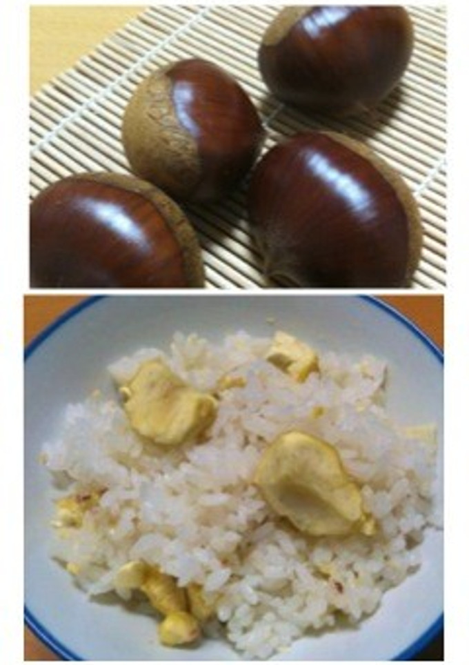 炊き込みご飯 〜 栗 ～-レシピのメイン写真