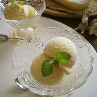 基本からアレンジまで！思わずつくりたくなる「オレンジシャーベット