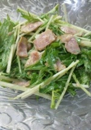 サッパリ水菜とベーコンの梅マヨサラダ-レシピのメイン写真