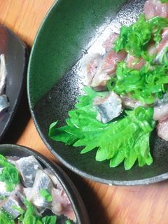 サンマ 刺身-レシピのメイン写真