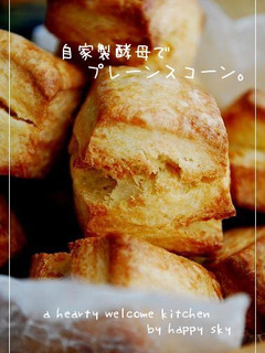 自家製酵母で　プレーンスコーン。-レシピのメイン写真