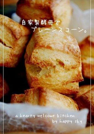 自家製酵母で　プレーンスコーン。-レシピのメイン写真