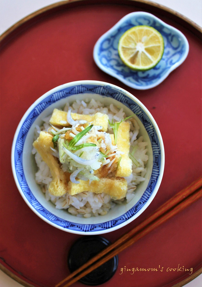 しらす干し・油揚げで大根おろしご飯-レシピのメイン写真