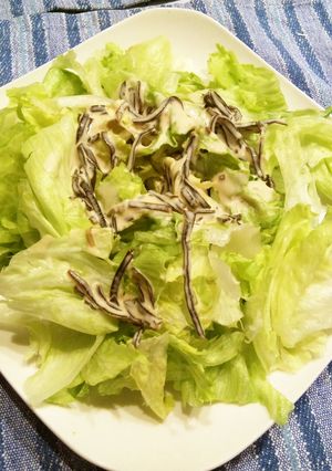クリーミーごま昆布ソースでサラダもりもり-レシピのメイン写真