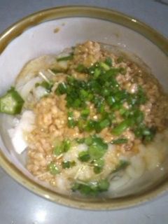 ネバネバ★うどん-レシピのメイン写真