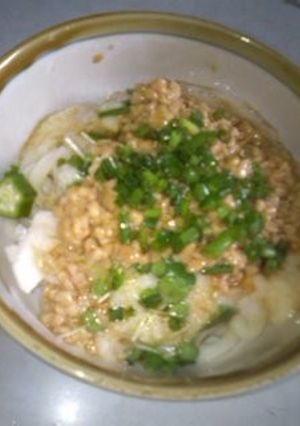 ネバネバ★うどん-レシピのメイン写真
