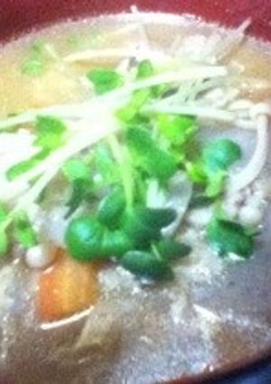 具沢山☆醤油が決め手の豚汁-レシピのメイン写真