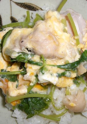 根三つ葉の親子丼-レシピのメイン写真