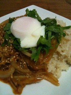 牛蒡と玉ねぎ簡単丼-レシピのメイン写真