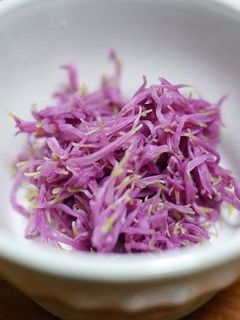 食用菊のおひたし-レシピのメイン写真