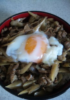 肉ごぼう丼-レシピのメイン写真