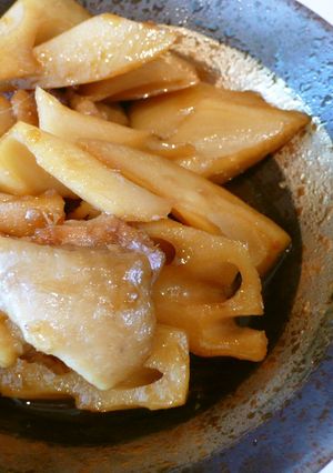 秋から美味しい！ハスと鳥肉の煮物！-レシピのメイン写真