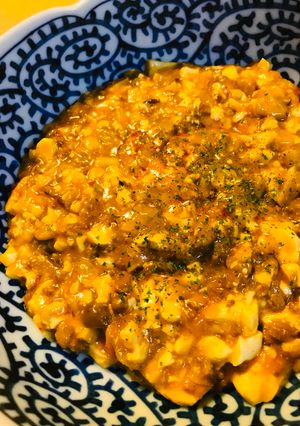 いろいろ醤の麻婆豆腐-レシピのメイン写真