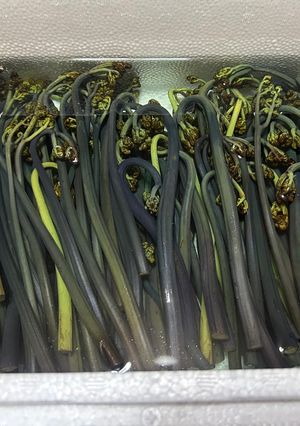 わらびのアク抜き-レシピのメイン写真