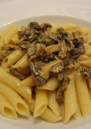 Morel(アミガサダケ)のパスタ-レシピのメイン写真