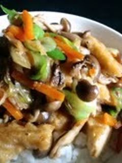 厚揚げと白葱のオイスター炒め丼-レシピのメイン写真
