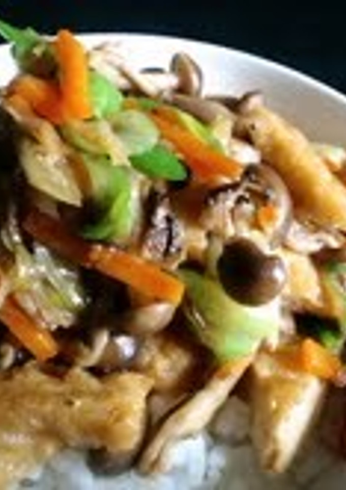 厚揚げと白葱のオイスター炒め丼-レシピのメイン写真