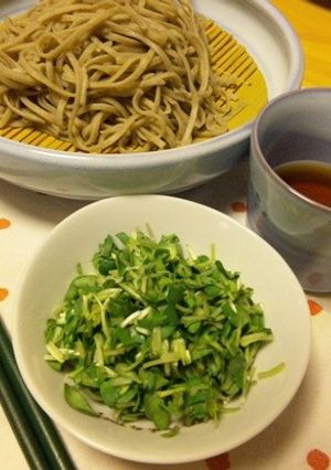 刻みかいわれの薬味そば-レシピのメイン写真