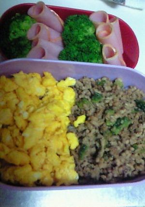 ☆お弁当☆ヘルシー！ゴーヤそぼろ-レシピのメイン写真